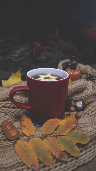 Taza Roja Con Fondo Una Bufanda Suave Punto Hojas Otoño — Foto de Stock