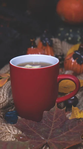 Red mug with tea on the background of a soft, knitted scarf, autumn leaves, pumpkin. Autumn background, cozy evening, fireplace.