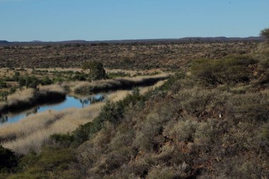 Güney Afrika 'nın en son oyun parkı, Mokala olarak adlandırılır. Burada hayvanlar yaygın ' örneğin Roan ve Sable antilop ve Tsessebe dağınık bulunmalıdır. Resimde nehir Atlantik içine elmas yıkamak için ünlü kudretli Orange, bir kolu olduğunu. 
