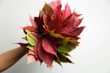 Kadın elinde tutan bir buket sonbahar yaprakları