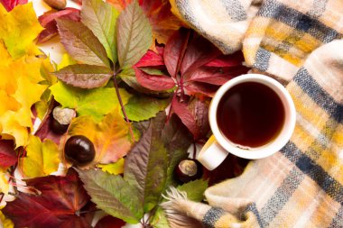 Çay ve colarfull yaprakları ile eşarp. Sonbahar ve rahat kavramı