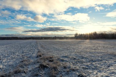 Puslu soğuk kış sabahı eski ülkede evde 