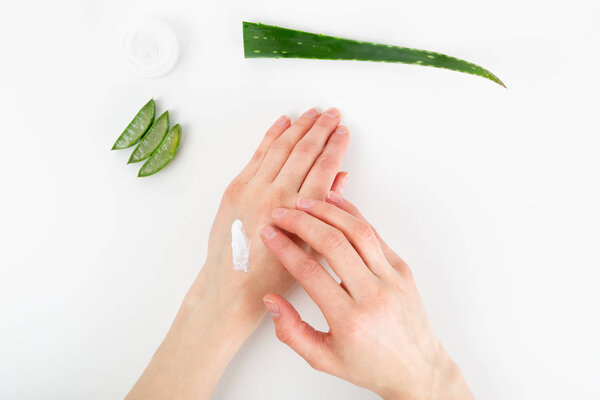 Opened plastic container with cream, sliced aloe vera plant and 