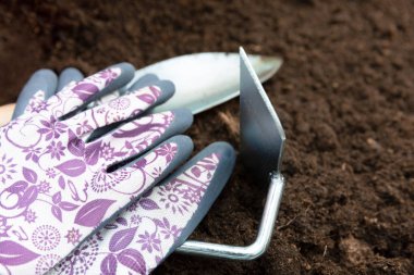 Toprak arka planda bahçe araçları. Ekim bahar Pansy çiçek