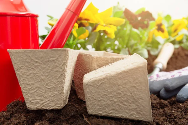 Gardening concept - Set of tools for gardener and pansy plants i — Stock Photo, Image