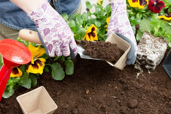 Hände einer Gärtnerin, die Erde in einen Blumentopf aus Papier legt. pl — Stockfoto