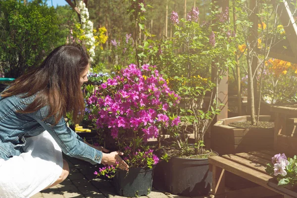 Женщина выбирает цветочные горшки в магазине садовых растений — стоковое фото
