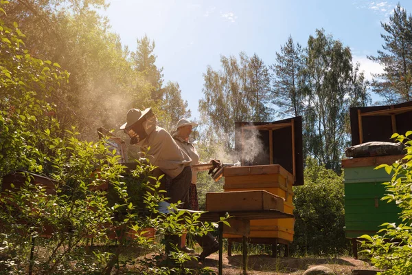 養蜂家はミツバチや養蜂家と協力しています. — ストック写真