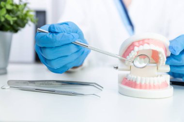 Kadın diş hekimi tutan profesyonel stomatoloji aracı ve pointin
