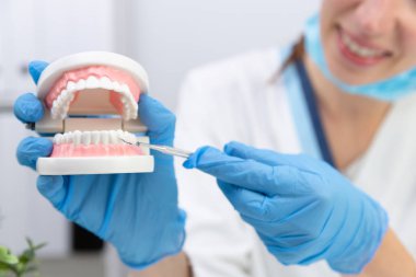 Kadın diş hekimi tutan profesyonel stomatoloji aracı ve pointin