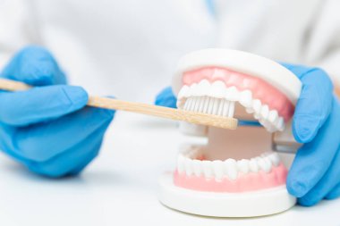 Kadın diş hekimi tutan profesyonel stomatoloji aracı ve pointin