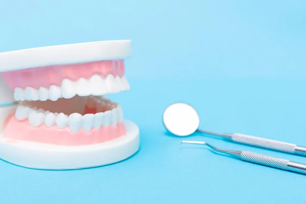 Modelo de dientes de ortodoncia y herramientas de dentista profesional en la ta — Foto de Stock