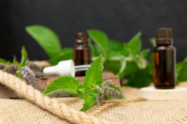 Taze mi ile cam şişede doğal nane esans