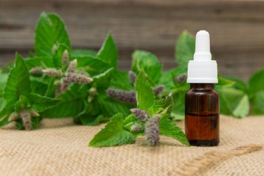 Taze mi ile cam şişede doğal nane esans