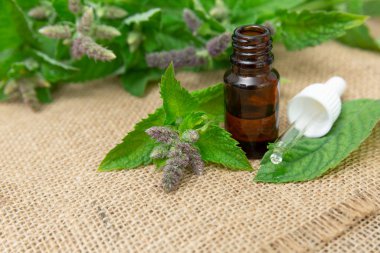 Taze mi ile cam şişede doğal nane esans