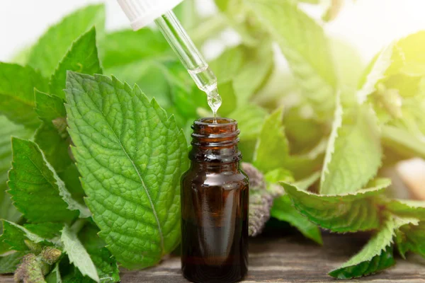 Natural peppermint essential oil in a glass bottle with fresh mi — Stock Photo, Image