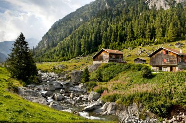Alp dağ dere. Dağ tarafı Alpleri'nde evler