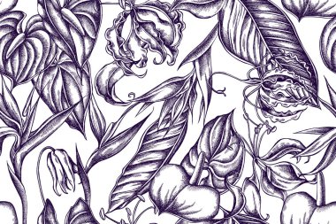 Gloriosa, Anthurium, Strelitzia el çizilmiş illüstrasyon ile sanatsal desen