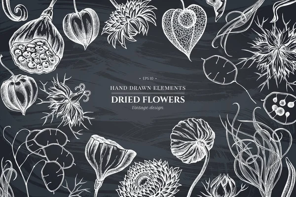 Diseño floral con tiza alcaravea negra, hierba de plumas, helichrysum, loto, lunaria, physalis — Vector de stock