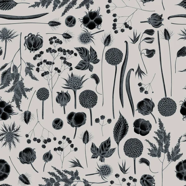 El çizilmiş stilize astilbe, craspedia, mavi eryngo, lagurus, pamuk, Gypsophila ile Dikişsiz desen