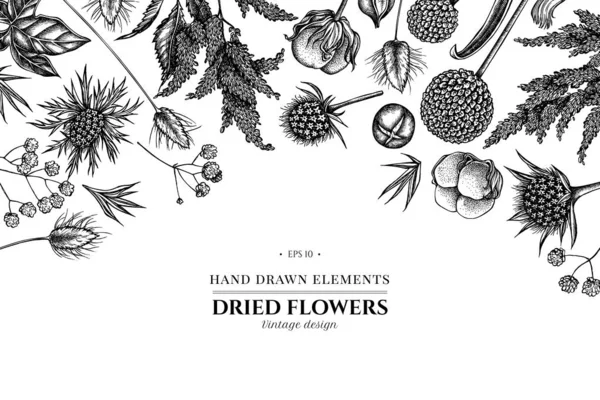 Design floral com astilbe preto e branco, craspedia, azul eryngo, lagurus, algodão, gypsophila —  Vetores de Stock