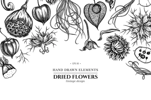 Diseño floral con alcaravea negra en blanco y negro, hierba de plumas, helichrysum, loto, lunaria, physalis — Vector de stock