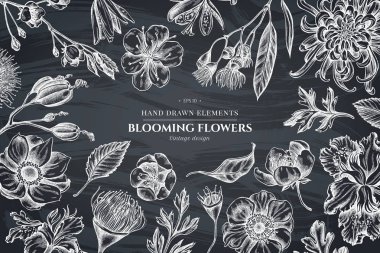 Çiçekli tasarım tebeşir Japon krizantem, böğürtlen zambak, okaliptüs çiçeği, Anemone, İris japonica, Sakura