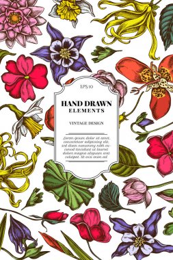 Renkli ylang-ylang, impatiens, Daffodil, tigridia, Lotus, hasekiküpesi ile kart tasarımı