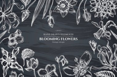 Tebeşir ylang-ylang, impatiens, Daffodil, tigridia, Lotus, hasekiküpesi ile çiçek tasarımı