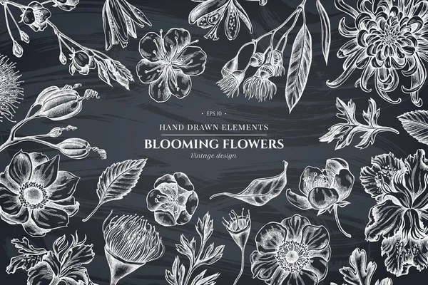 Diseño floral con tiza crisantemo japonés, lirio de mora, flor de eucalipto, anémona, iris japonica, sakura — Vector de stock