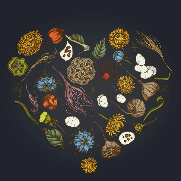 深色背景的心花卉设计,黑色卡拉威,羽毛草,菊花,莲花,月光,植物 — 图库矢量图片