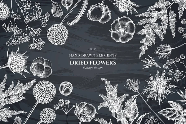 Desenho floral com giz astilbe, craspedia, azul eryngo, lagurus, algodão, gypsophila —  Vetores de Stock