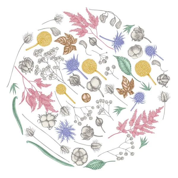 Круглый цветочный дизайн с пастельной астильбой, Craspedia, голубой эринго, лагурус, хлопок, гипсофила — стоковый вектор