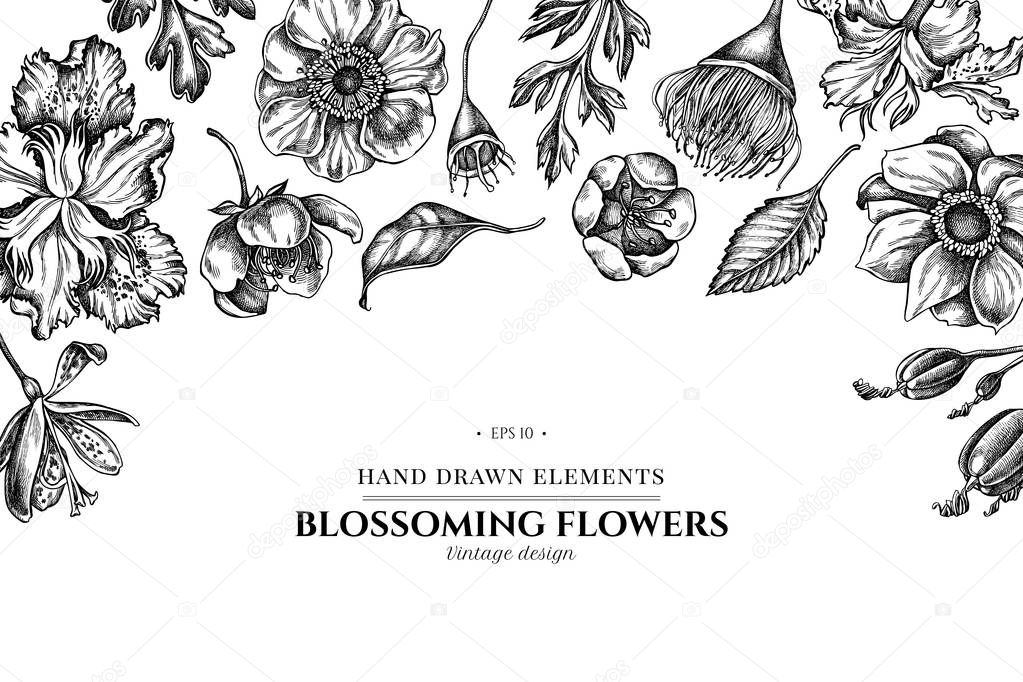 Floral design with black and white japanese chrysanthemum, blackberry lily, eucalyptus flower, anemone, iris japonica, sakura