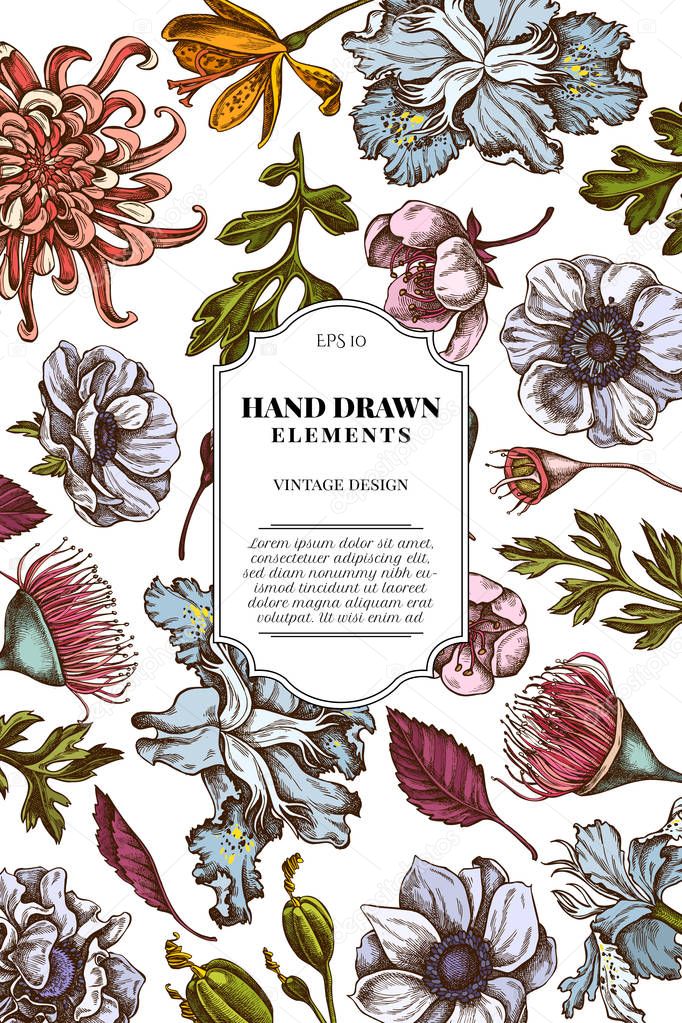 Card design with colored japanese chrysanthemum, blackberry lily, eucalyptus flower, anemone, iris japonica, sakura