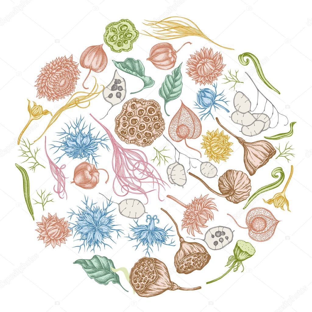Round floral design with pastel black caraway, feather grass, helichrysum, lotus, lunaria, physalis