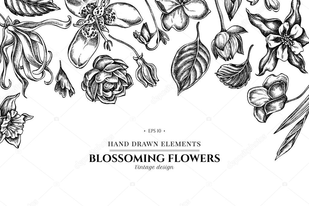Floral design with black and white ylang-ylang, impatiens, daffodil, tigridia, lotus, aquilegia