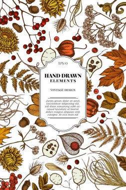 Renkli rowan, rowan, meşe palamudu, buckeye, eğrelti otu, akçaağaç, huş ağacı, akçaağaç yaprakları, lagurus, tüy otu, helichrysum, lunaria, physalis, kediotu ile kart tasarımı