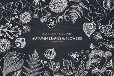 Tasarım tebeşir rowan, rowan, meşe palamudu, buckeye, eğrelti otu, akçaağaç, huş ağacı, akçaağaç yaprakları, lagurus, tüy otu, helichrysum, lunaria, physalis, kediotu