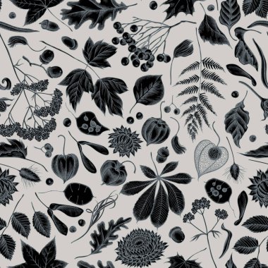 Elle çizilmiş stilize rowan, rowan, meşe palamudu, buckeye, eğrelti otu, akçaağaç, akçaağaç yaprakları, lagurus, tüy otu, helichrysum, lunaria, physalis, kediotu ile dikişsiz desen