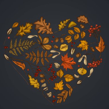 Rowan, rowan, palamut, buckeye, eğrelti otu, akçaağaç, huş ağacı, akçaağaç yaprakları, lagurus ile koyu arka plan üzerinde kalp tasarımı