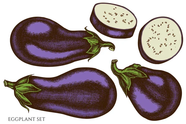 Vector set van hand getekende gekleurde aubergine — Stockvector