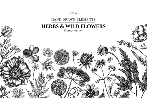 Floral σχέδιο με ασπρόμαυρο τσεπάκι βοσκού, ρείκι, φτέρη, άγριο σκόρδο, τριφύλλι, globethistle, gentiana, astilbe, craspedia, lagurus, μαύρο κύμινο, χαμομήλι, πικραλίδα, παπαρούνα λουλούδι, κρίνο της — Διανυσματικό Αρχείο