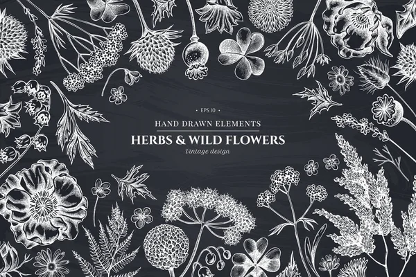 Bloemen ontwerp met krijt herders portemonnee, heide, varen, wilde knoflook, klaver, globethistle, gentiana, astilbe, craspedia, lagurus, zwarte karwij, kamille, paardebloem, papaver bloem, lelie van de — Stockvector