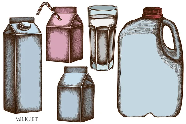 Vector set van met de hand getrokken gekleurd glas, melkdozen, gallon melk — Stockvector