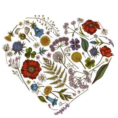 Renkli çoban çantalı çiçek tasarımı, heather, eğreltiotu, yabani sarımsak, yonca, globethistle, gentiana, astilbe, craspedia, lagurus, siyah karanfil, papatya, karahindiba, haşhaş çiçeği, zambak çiçeği,