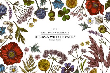 Renkli çoban çantalı çiçek tasarımı, heather, eğreltiotu, yabani sarımsak, yonca, globethistle, gentiana, astilbe, craspedia, lagurus, siyah oyma, papatya, karahindiba, haşhaş çiçeği, zambak çiçeği,