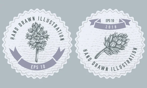 Desenho de etiquetas monocromáticas com ilustração de jacinto — Vetor de Stock