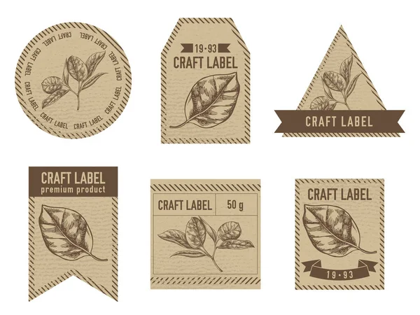 Kézműves címkék vintage design illusztrációjával ficus — Stock Vector
