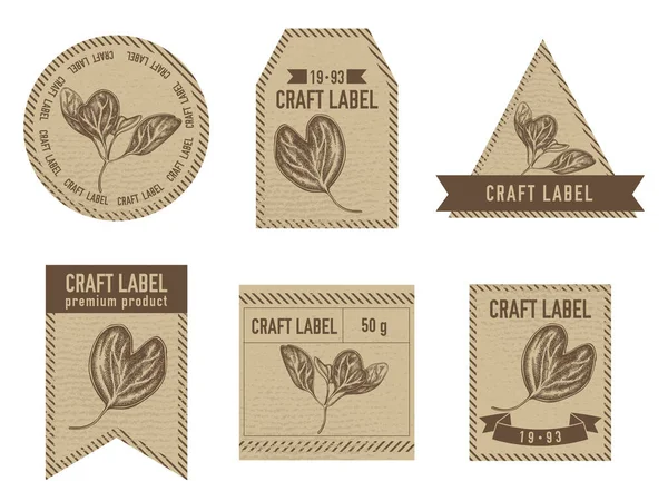 Craft labels vintage design with illustration of iresine — Stock Vector